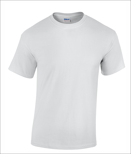 100  T-SHIRTS (Gildan Heavy Cotton)